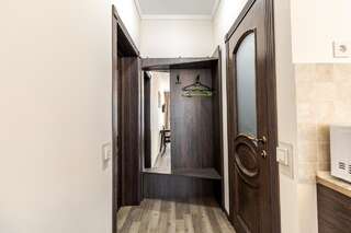 Апартаменты Opera House Apartment 1 Львов Апартаменты с 1 спальней-19